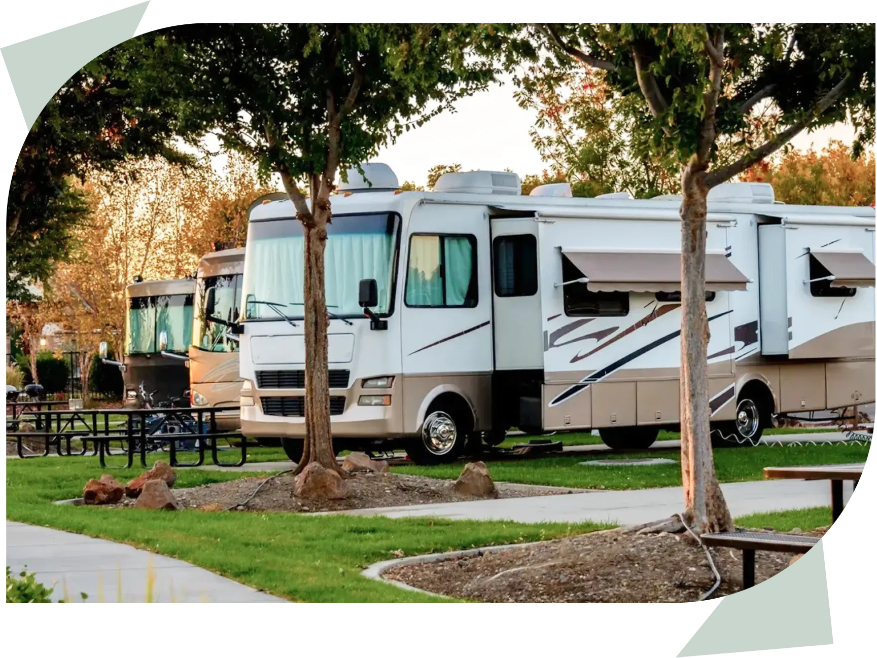 Motorhomes under trees in a park