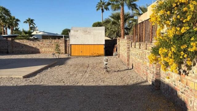 Desert backyard with palm trees and flowers.