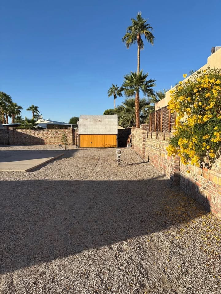 Desert backyard with palm trees and flowers.