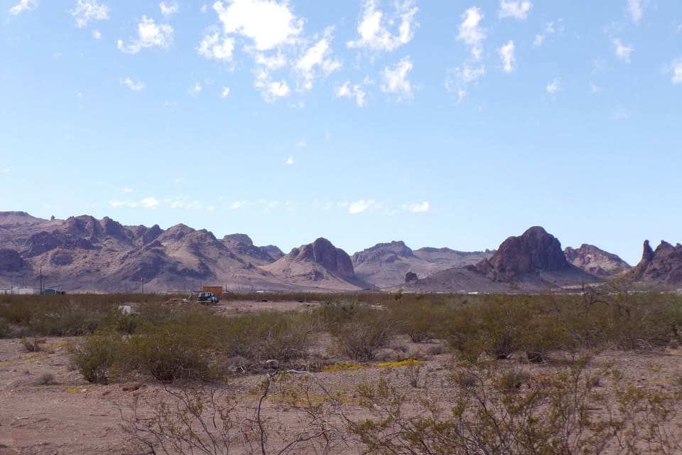 Desert landscape with mountains and sparse vegetation.