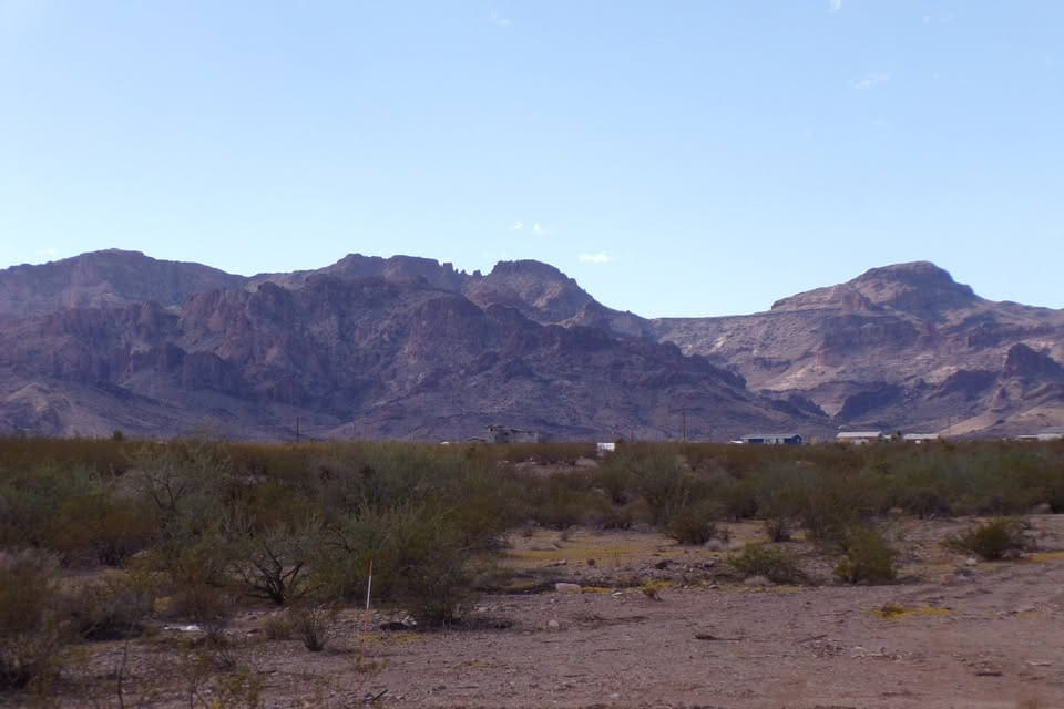 Desert landscape with distant mountain range.