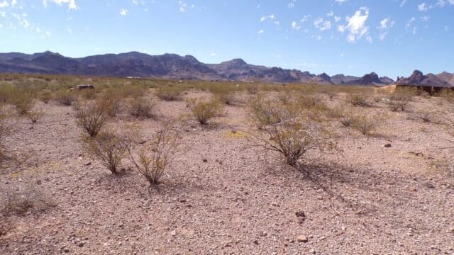 Desert landscape with mountains and scattered shrubs.