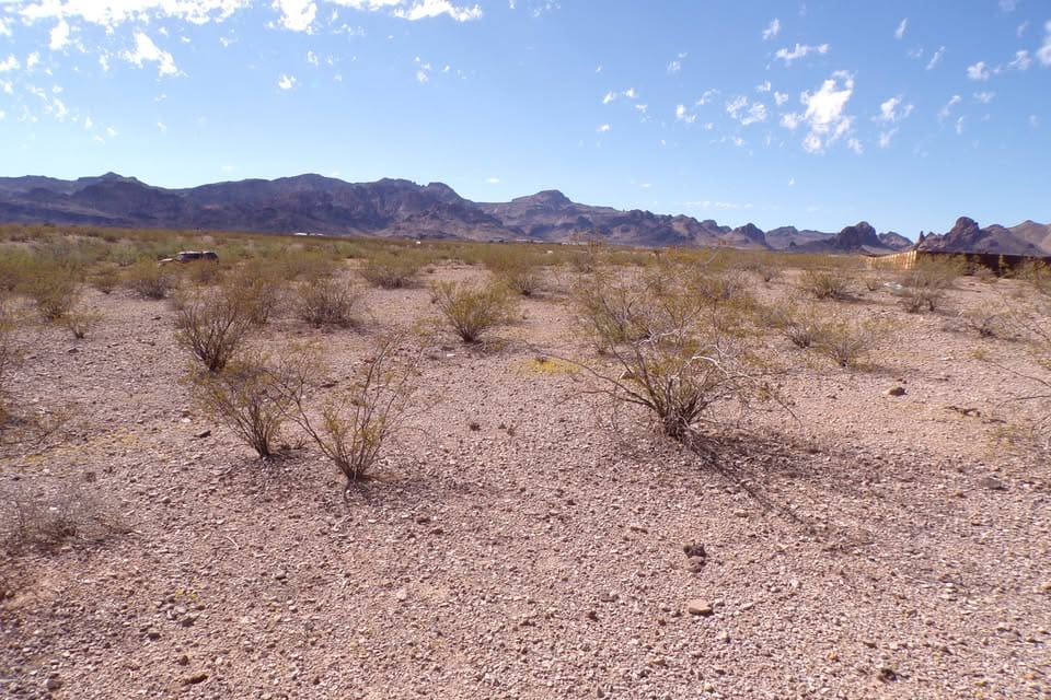 Desert landscape with mountains and scattered shrubs.