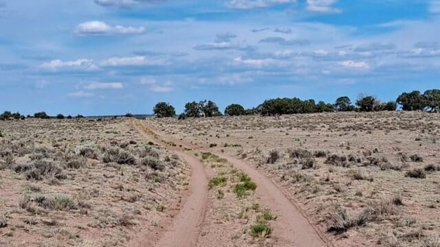 Dirt road in Sanders, Arizona landscape.