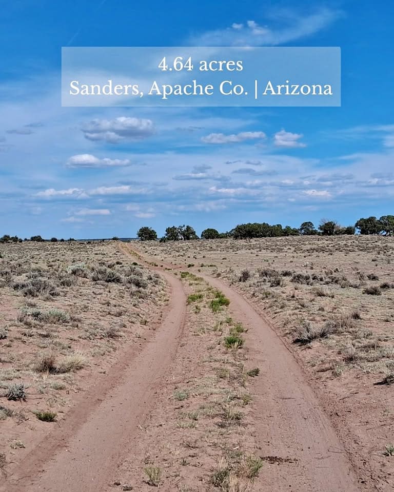 Dirt road in Sanders, Arizona landscape.