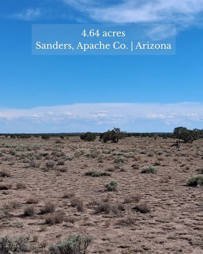 Desert landscape in Sanders, Arizona land.
